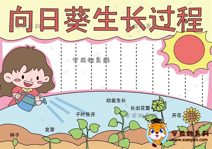 向日葵生長(zhǎng)過程手抄報(bào)