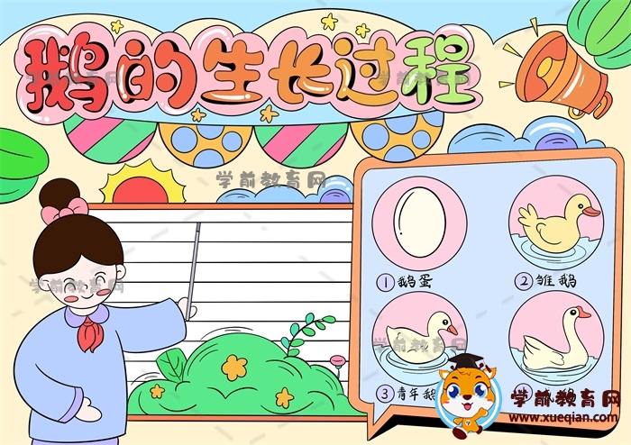 鵝的生長過程手抄報(bào)