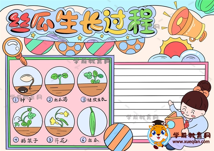 絲瓜生長記錄手抄報