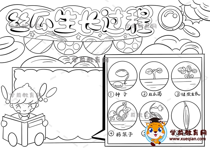 ,絲瓜生長記錄手抄報
