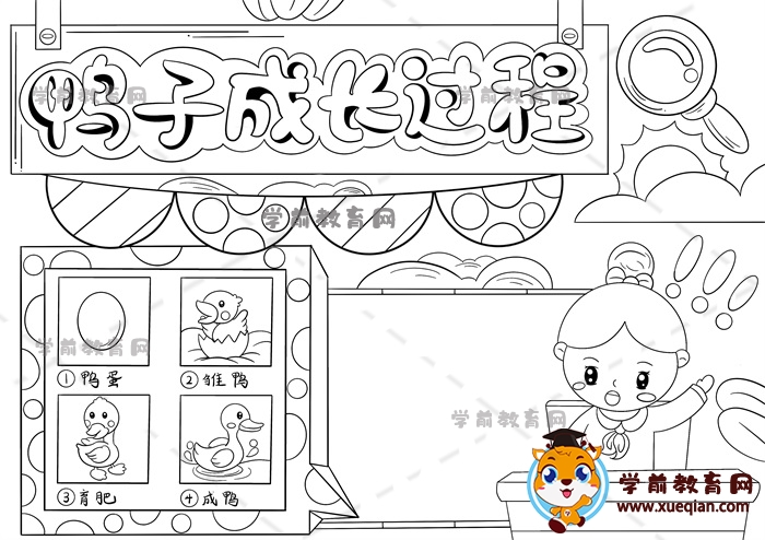 鴨子成長過程手抄報