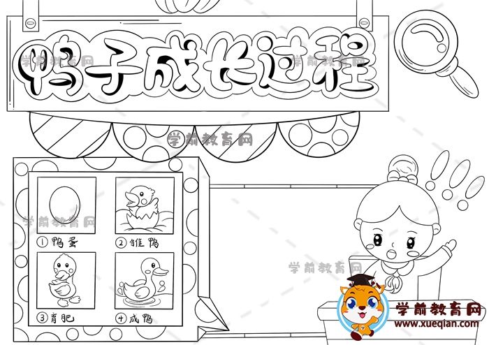 鴨子成長過程手抄報