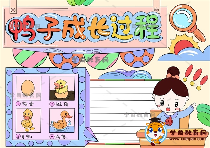 鴨子成長過程手抄報
