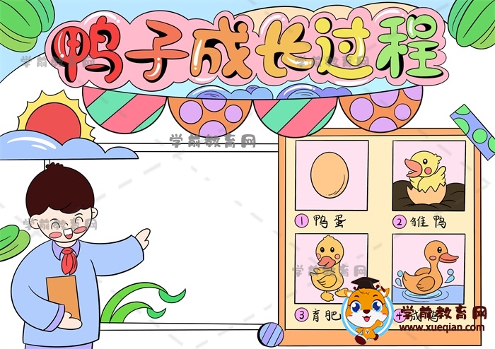 鴨子成長過程手抄報(bào)
