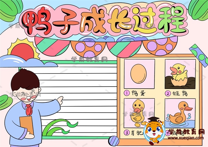 鴨子成長過程手抄報(bào)