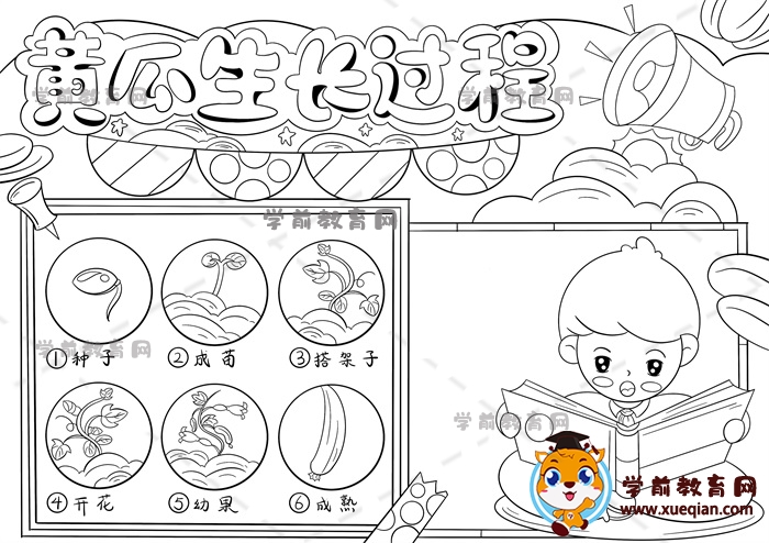黃瓜生長過程手抄報