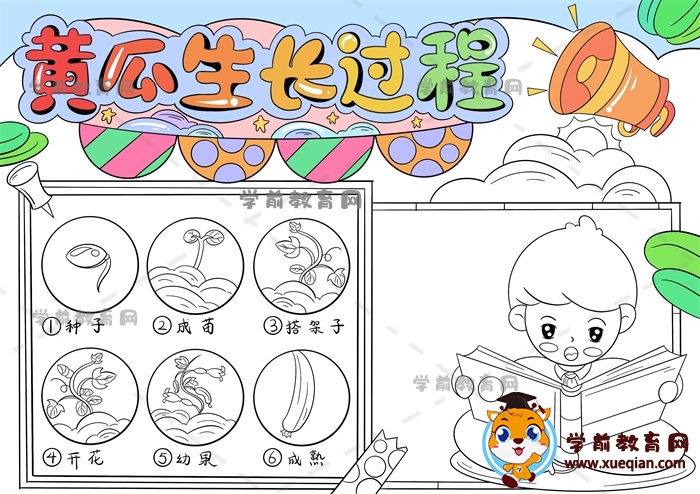 黃瓜生長過程手抄報