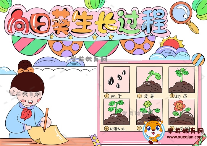 向日葵生長過程手抄報(bào)