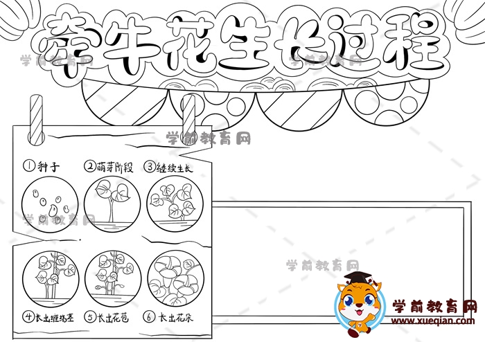 牽?；ㄉL(zhǎng)過(guò)程手抄報(bào)