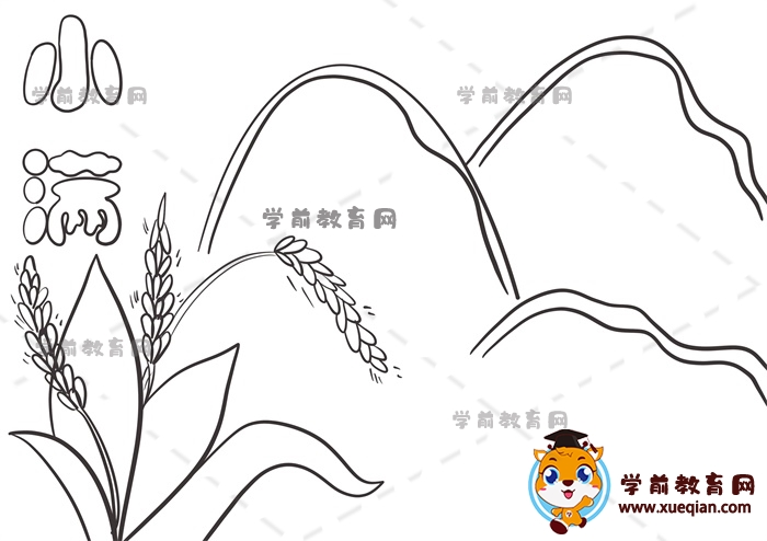 小滿手抄報