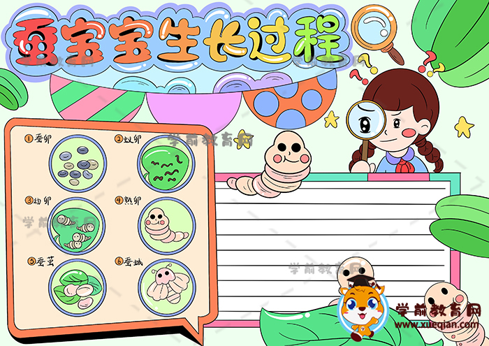 蠶寶寶生長過程手抄報(bào)