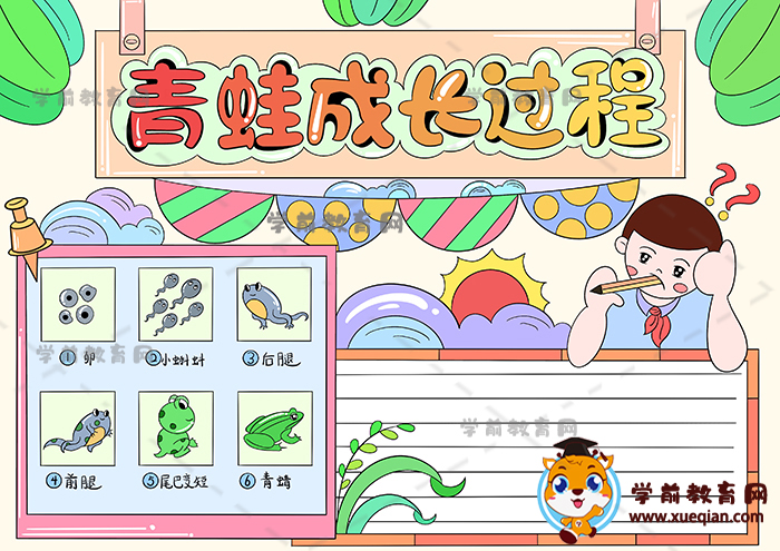 青蛙成長(zhǎng)過程手抄報(bào)