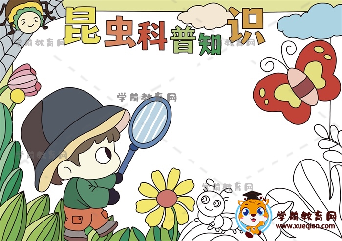 昆蟲(chóng)科普知識(shí)手抄報(bào)